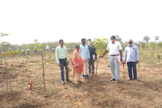 apd Observed the work going on in the villages under the mgnregs