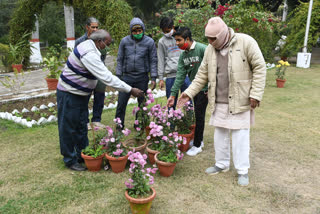 Botanical Garden Flower Exhibition Hisar