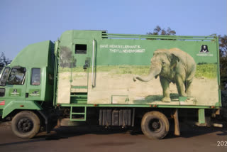 elephant sent Mathura elephant hospital for treatment