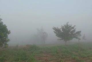 fog concerns among farmers