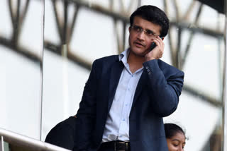 Sourav Ganguly stable