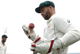 Matthew Wade