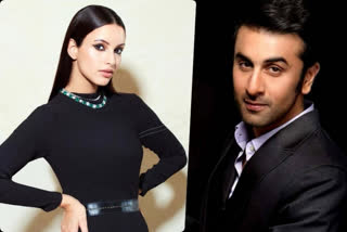 Tripti Dimri in Ranbir Kapoor starrer Animal?