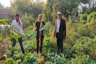 vegetables-are-being-given-under-poshan-bari-scheme-for-freedom-from-malnutrition-in-bemetara