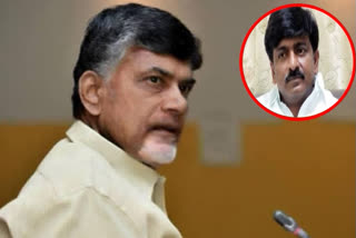 chandrababu-comments-on-btech-ravi-arrest