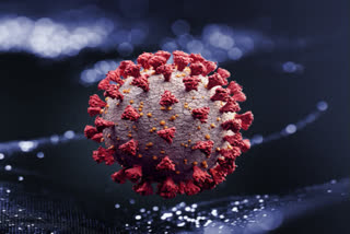 US virus death toll hits 350,000; surge feared