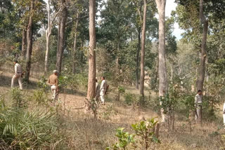 bhupesh visit in Gorella Pendra Marwahi