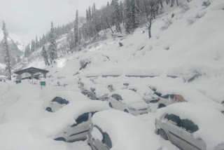 Rohtang Atal Tunnel