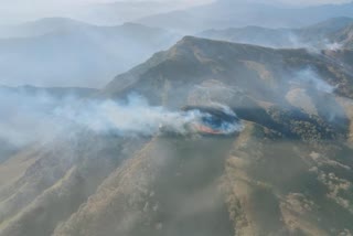 fire in Dzouku Valley near Kohima