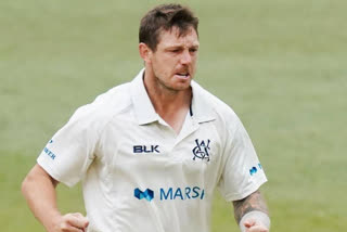 australian pacer james pattinson