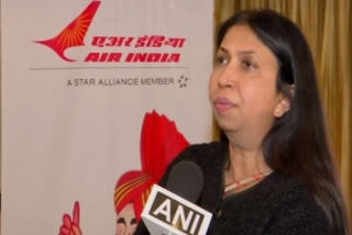 Air India Commercial Director Meenakshi Malik