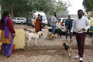 Madhav Nagar police station of Ujjain took dogs in custody