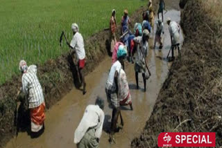 MNREGA workers