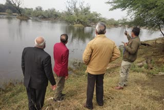 alert in keoladeo national park