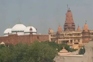 Court fixes Jan 15 for hearing plea for removal of Shahi Idgah mosque in Mathura