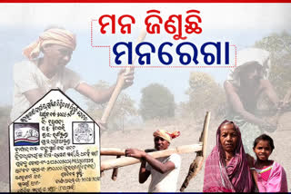 success story of MGNREGA