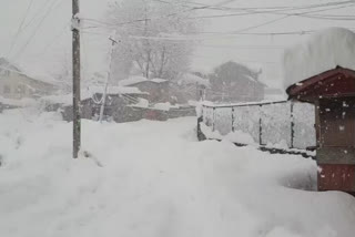 Snowfall throws life out of gear in Kashmir