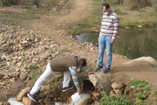 industries in baddi are releasing toxic water into river