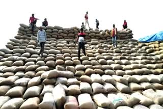 paddy procurement centers in koriya