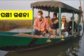 BIRD COUNTING BEGIN IN CHILIKA