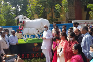 Inauguration of cow calf statues