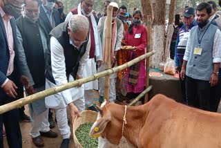 cm-bhupesh-baghel-arrived-in-mahora-adarsh-gauthan-of-korba