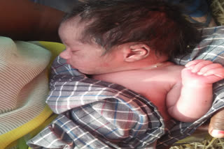 newborn-girl-found-in-farm-in-korba