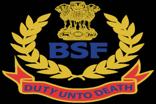 BSF caught 9 Bangladeshis crossing border illegally