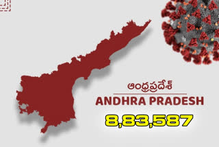 new 377 corona cases registered in ap