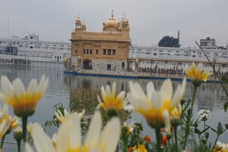 ਅੰਮ੍ਰਿਤਸਰ 'ਚ ਹੋਵੇਗਾ ਨਨਕਾਣਾ ਸਾਹਿਬ ਦਾ ਸੌ ਸਾਲਾ ਸ਼ਤਾਬਦੀ ਦਾ ਵੱਡਾ ਸਮਾਗਮ: ਬੀਬੀ ਜਗੀਰ ਕੌਰ