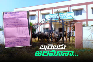 college principal  Charged fine on baffellos in seninari colony peddapally