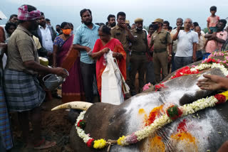 People pay tearful tribute to an elephant trapped in an electric fence
