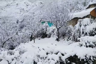 Heavy snowfall in hill areas increases people's problems In chmba