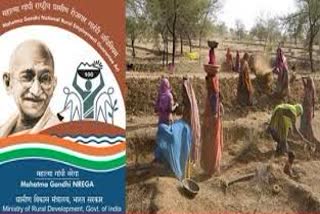 distribution-of-job-cards-to-6-lakh-people-under-mnrega-scheme