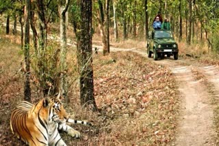 rajaji-tiger-reserve