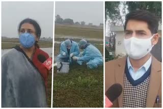 high alert in jammu and kashmir in view of bird flu concerns