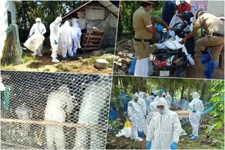 ducks were killed in Kottayam  bird flu kottayam  flu kottayam  കോട്ടയത്ത് താറാവുകളെ കൊന്നൊടുക്കി  നീണ്ടൂർ പക്ഷിപ്പനി  കോട്ടയം പക്ഷിപ്പനി