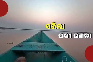 ଚିଲିକାରେ ପକ୍ଷୀ ଗଣନା ଶେଷ