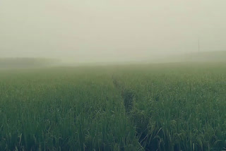 rainfall in karnal