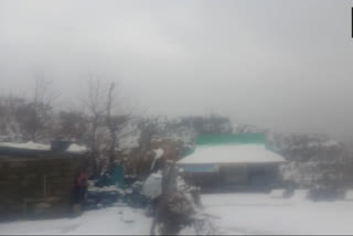 Heavy snowfall in Jammu and Kashmir people not come out for necessities