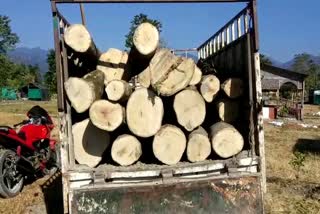 As_baksa_illegal-timber-seized-by-ssb_vis_as10029