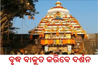 ଆଜି ଠୁ ବାବା ଲିଙ୍ଗରାଜଙ୍କ ସର୍ବସାଧାରଣ ଦର୍ଶନ