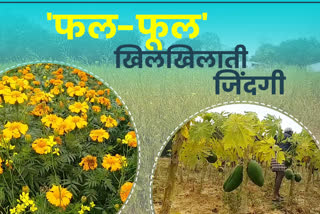 fruits and flowers farming in lohardaga