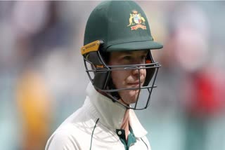 Tim Paine