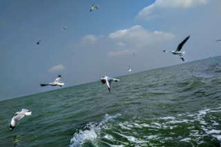 Chilika Lake in Odisha