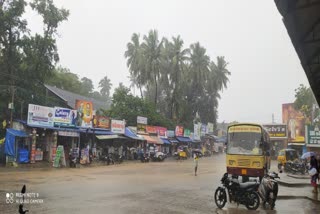 திருவாரூரில் கனமழையால் நெர்பயிர்கள் சேதம்  Damage to paddy crops due to heavy rains in Thiruvarur  Farmers suffer due to heavy rains in Thiruvarur  heavy rains in Thiruvarur  திருவாரூரில் கனமழை  கனமழை