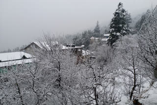 heavy snowfall in Kinnaur valley