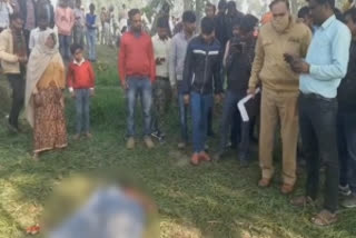 Stray dogs maul minor girl to death