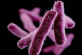 Another Shigella case in Kannur
