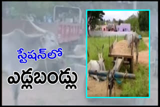 fine to bullockarts for illegally transporting sand in ananthapur district